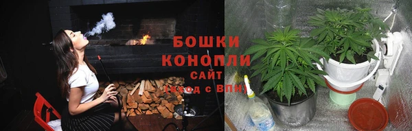 дурь Медвежьегорск