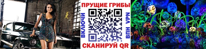 Галлюциногенные грибы Psilocybine cubensis  Купить  Мичуринск 